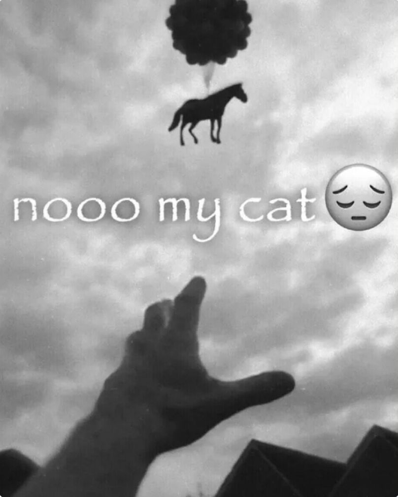 dinosaurs1969's tweet image. 