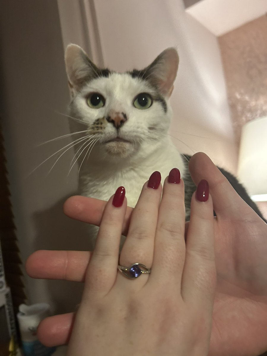 Hazelry | Fallen Valkyrie Vtuber | ⚔️✨ tweet media