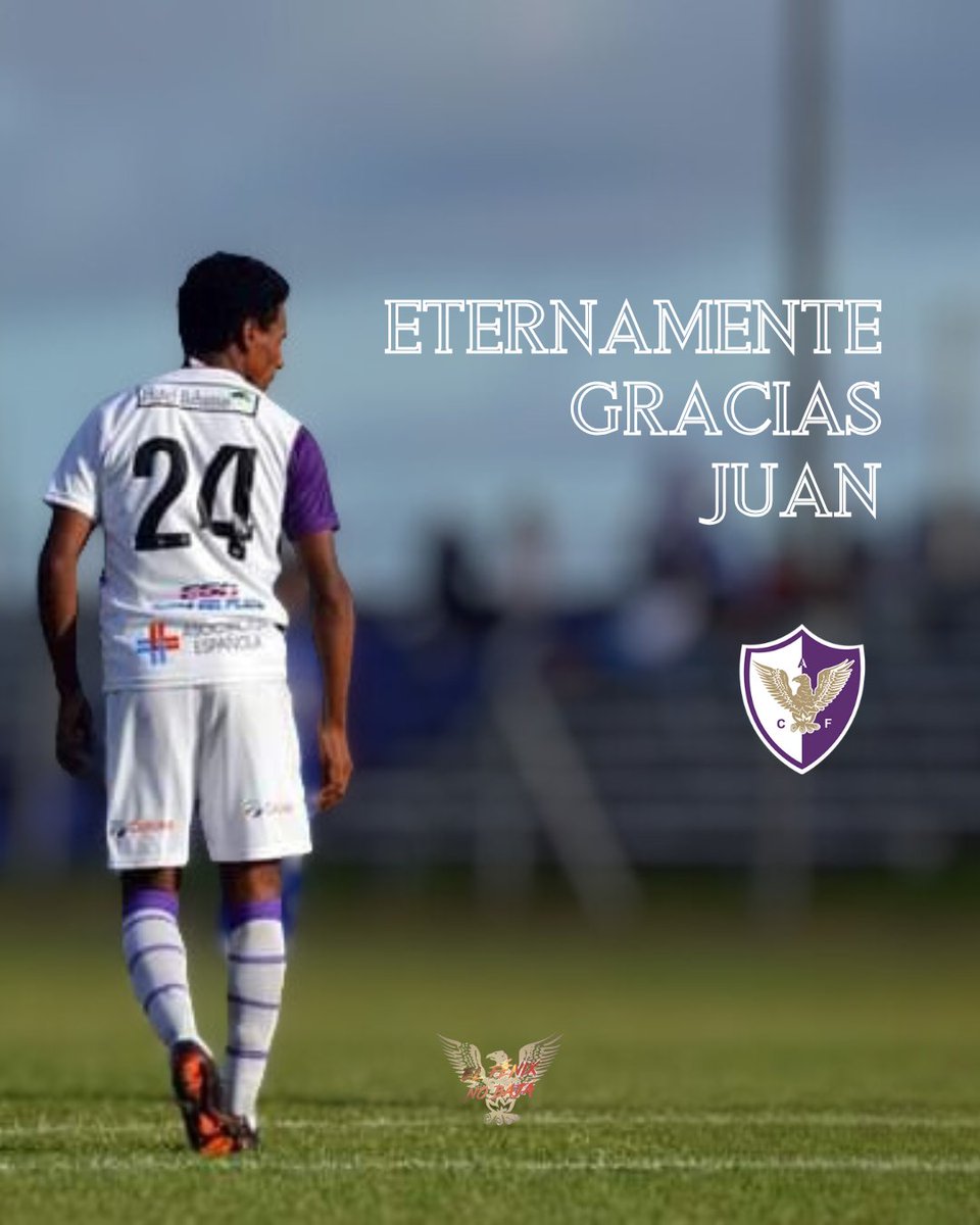 El Fénix No Baja 🦅 tweet media