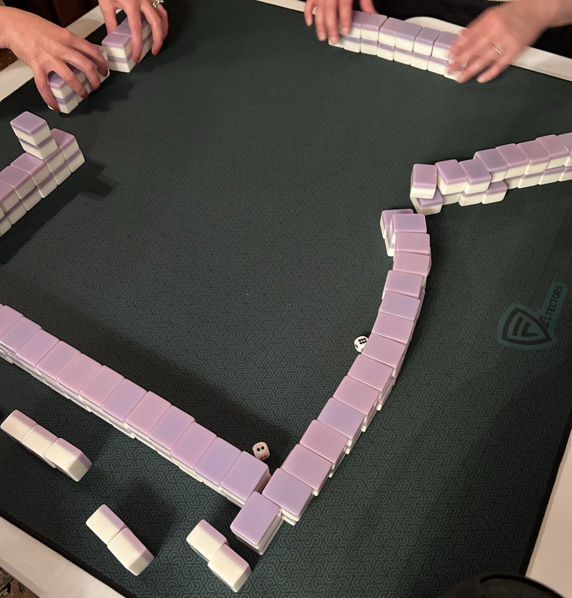 my family surprised me last night with purple (usually green) mahjong tiles for Thanksgiving!! very grateful for my extended family for doing their best to spread awareness 💜
#NEAM