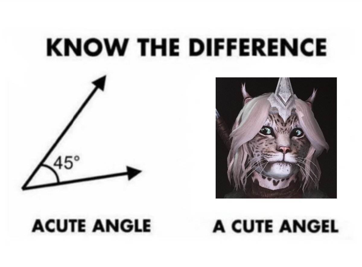 Sky 🩸 (@vylaera) on Twitter photo 