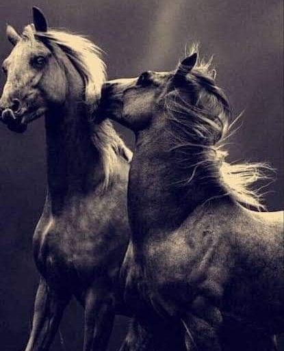 لعينيك البعيدتين💕
 
 ل اللّحظة التي حفرتُك بها في داخلي
 
 للوقت الذي يمضي وانا هنا وانتِ هُناك
 مساء الخير لقلبك وللحياة🫶💞💐

#مساء_الخير_والسعاده 
#بوح_lلمشاعر
#زايـد_محـمد