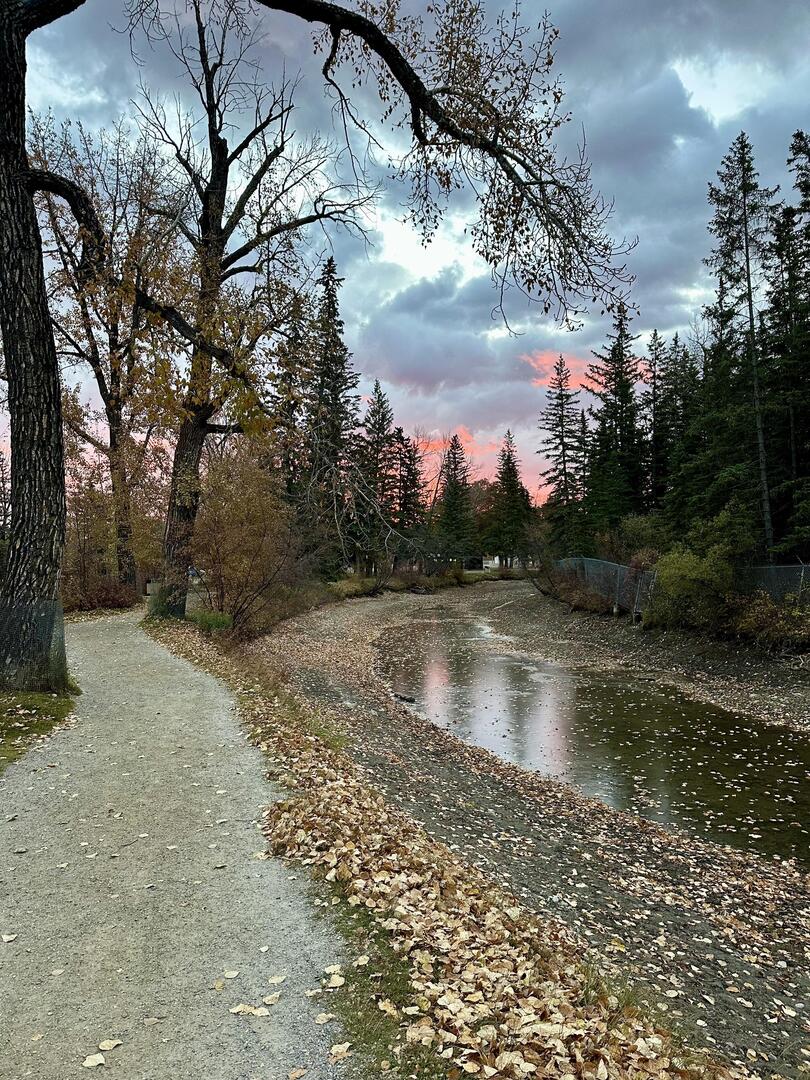 DocAtCDI's tweet image. Enjoy #OurEarthPorn!
(Steal This Hashtag for your own &amp;amp; join the community of Nature Addicts! )

Fall Time [OC] Bowness Park 3024 x 4032 
Photo Credit: SpongeToffee 
.