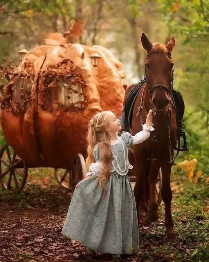 i2m6e7n's tweet image. &quot;والكلُّ يُكتَمُ وَالهَوى لا يُكتَمُ 
إنَّ العُيونَ إذا هَوتْ تَتَكَلّمُ!&quot;