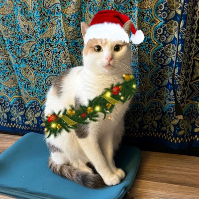 #NewProfilePic spéciale noël !!! 🎄