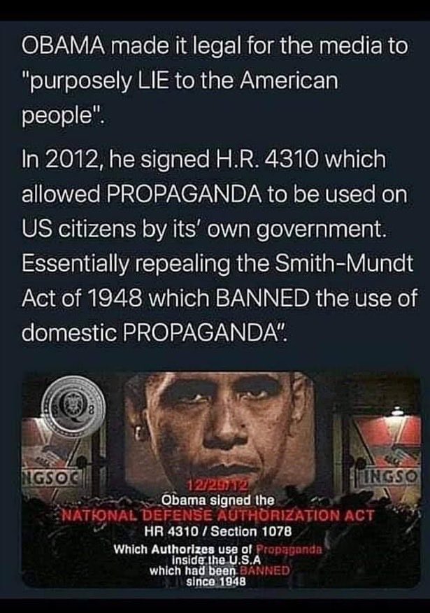 Alpha Wolf 🐺 tweet media