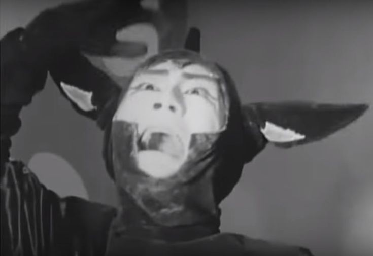 jvfinger's tweet image. File: /var/www/html/wilk01-01/resources/sass/app.scss?direct:495:1
  [sass] Undefined mixin.
      ╷
  495 │ @include _assert-starts-at-zero($grid-breakpoints, &quot;$grid-breakpoints&quot;);
&quot;I&apos;m getting to the point where I hate Laravel.&quot;
#laravelhelpers