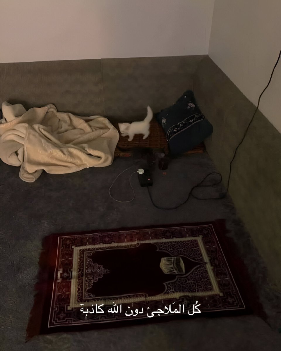 تفاصيل شرقي (@osloccc) on Twitter photo 