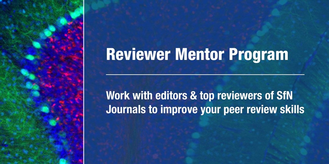 Looking to improve your PeerReview skills? The Reviewer Mentor Program pairs trainees with #JNeurosci &amp; #eNeuro editors &amp; top reviewers to conduct strong manuscript reviews. Open to SfN members at any career stage: jneurosci.org/rmp