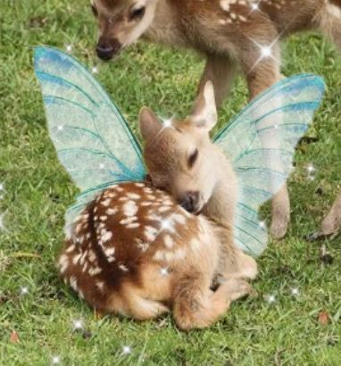 ipostdeer's tweet photo. im this majestic https://t.co/0jVLlR2fMD