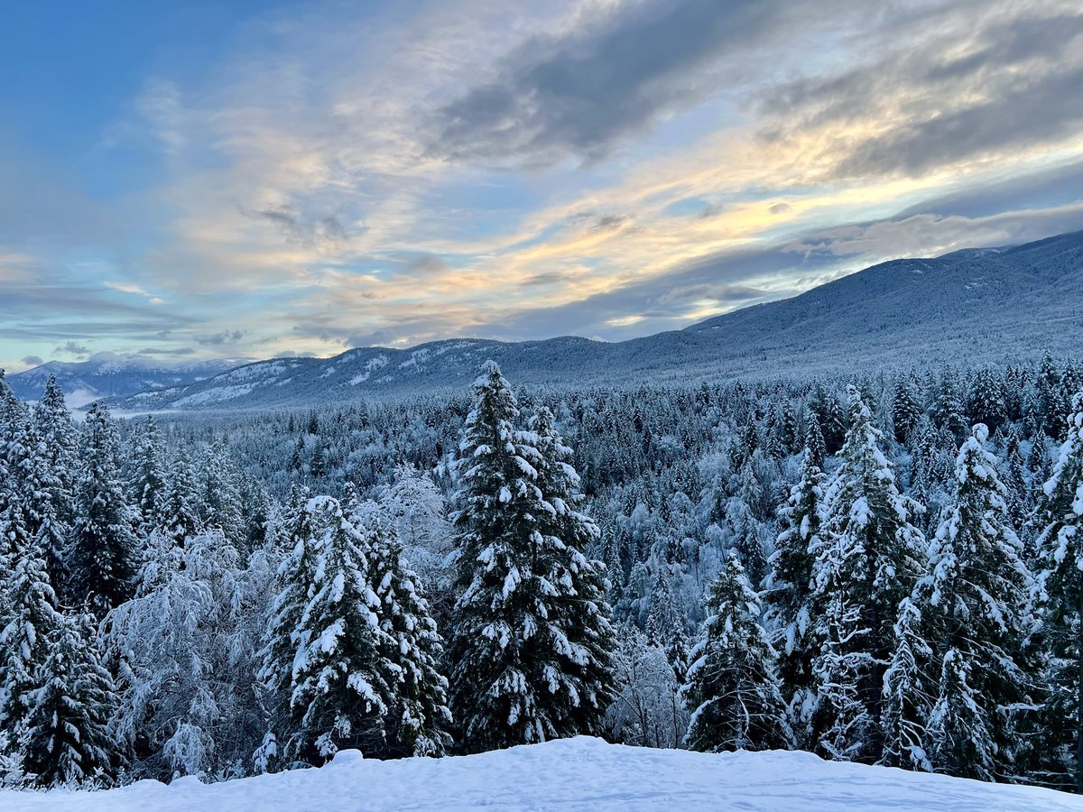 ‘Tis the Season……Be safe - 
See Something- Say Something 🇺🇸