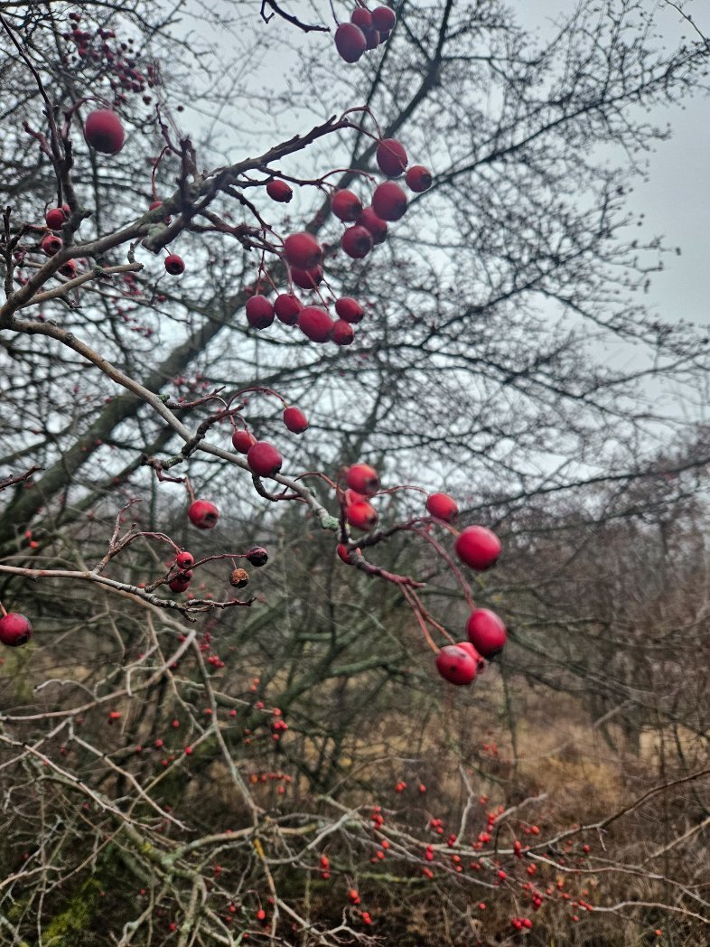 Не фу темнота задолбал дурацкий ноябрь, а чилл дарк эмбиент гоблинкор аутдор чернозем перегной вайб