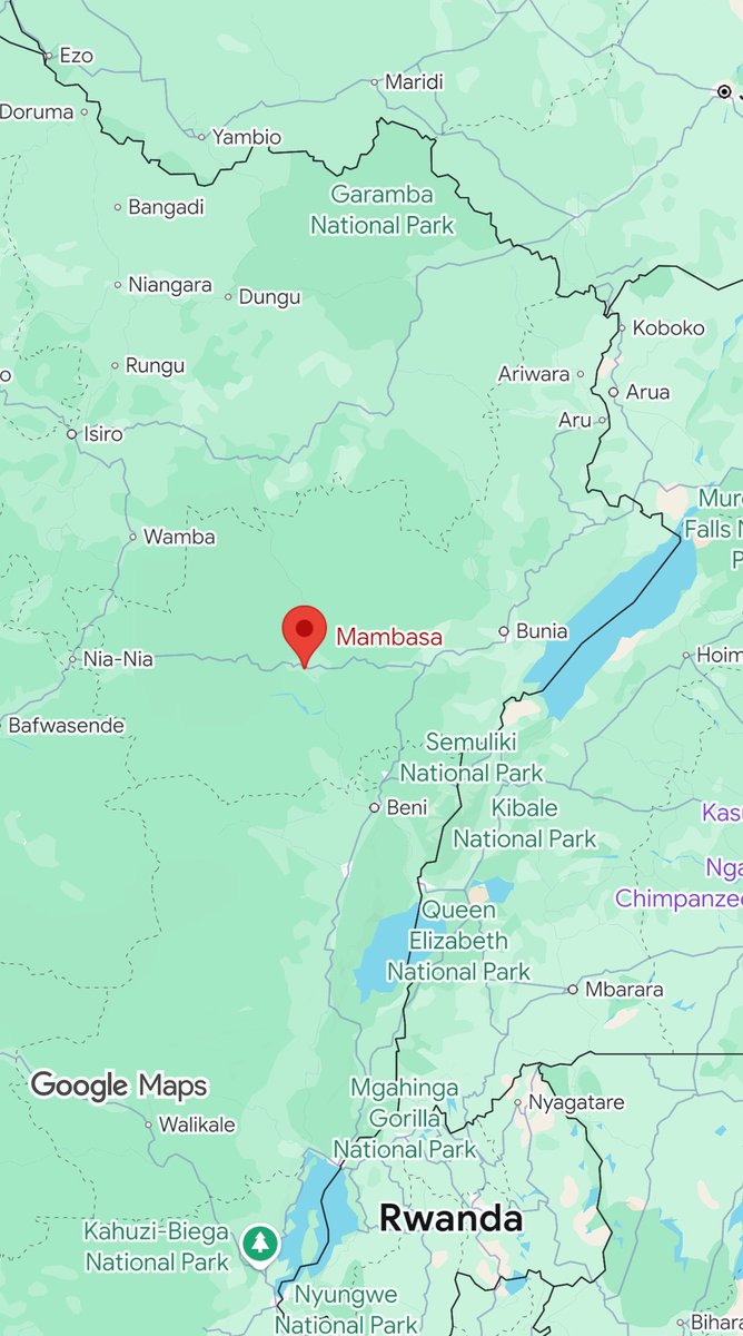 UPDF Artillery Obliterates ADF Positions in Operation Shujaa 

Friday, November 29, 2025

Surgical UPDF artillery strikes last weekend devastated two Allied Democratic Forces (ADF) camps in Mambasa territory, eastern Democratic Republic of Congo (DRC), killing dozens of armed