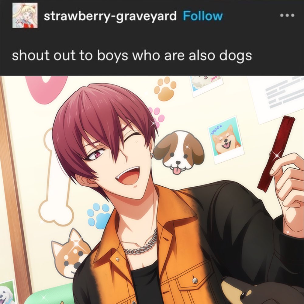 nyanbinarypitou's tweet image. Happy birthday Touma 🐶🎉