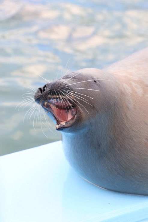 REDGXZE's tweet image. 🫧✨🙂‍↕️🙂‍↕️🙂‍↕️thanks very much oomf!!!!!!!