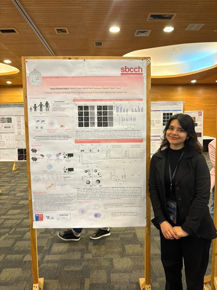🐁 Esta semana nuestra alumna de doctorado Yohana Martínez presentó los primeros resultados de su tesis, que relacion el envejecimiento con la inmunología desde una perspectiva bióloga celular, en el encuentro anual de la <a href="/_SBCCh/">Sociedad de Biología Celular de Chile (SBCCh)</a>. Felicidades!