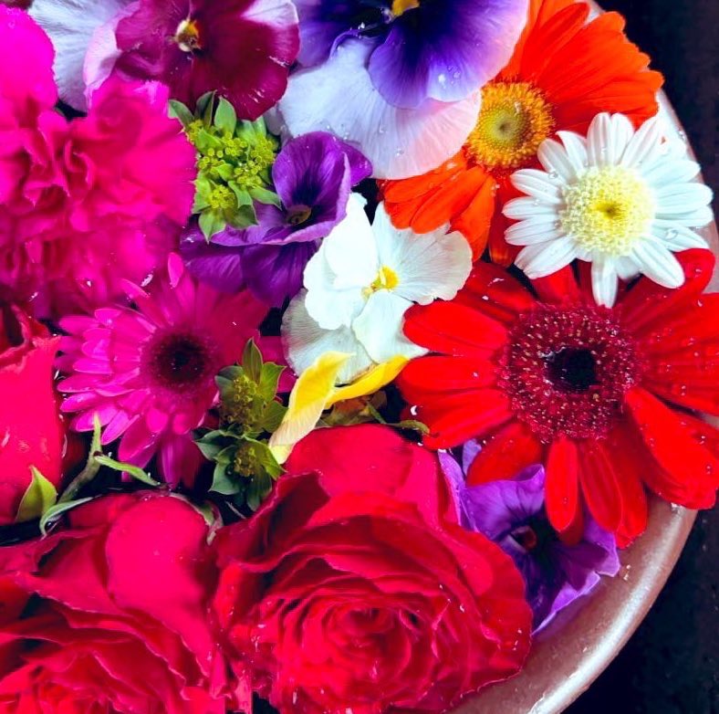 おはようございます🌱🍃❁⃘*. 𓂃✩.*˚

11月29日土曜日🌤️

移動性高気圧の影響
西日本と東日本を広く覆い
関東から九州
青空が広がり行楽日和
北日本の日本海側
雪や雨の降る所🐈‍⬛🐾
　　
優しい繋がりに感謝します🌱
ありがとうございます💖

今日も宜しくお願いします🌸

素敵な一日を☘️❁⃘*. 𓂃✩.