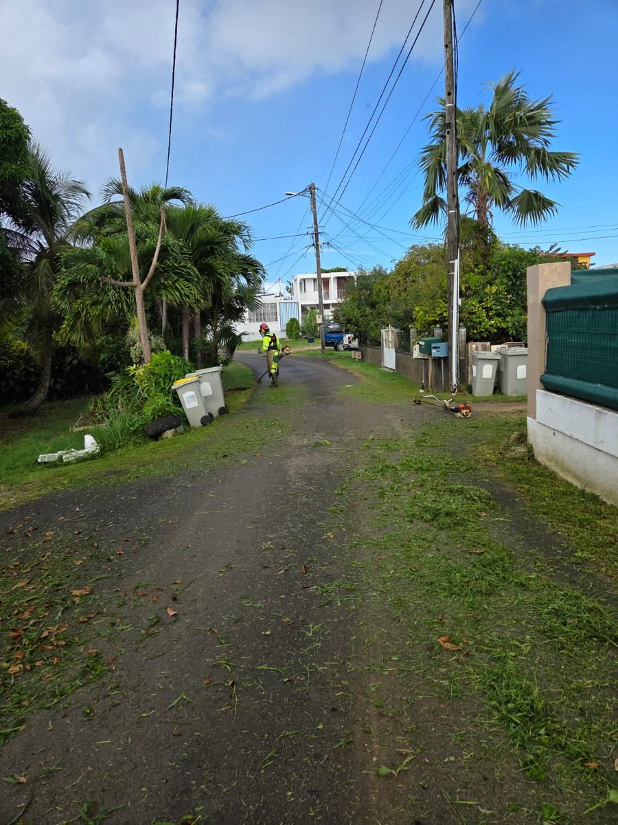 VilleduGosier's tweet image. Les travaux de fauchage et de propreté urbaine ont été réalisés ce jeudi 27 nov sur le territoire communal.

➡️ Secteur : impasse Beline à Petit-Havre 

#Nettoyage #Propreté #Embellissement  🌱🍃🌿