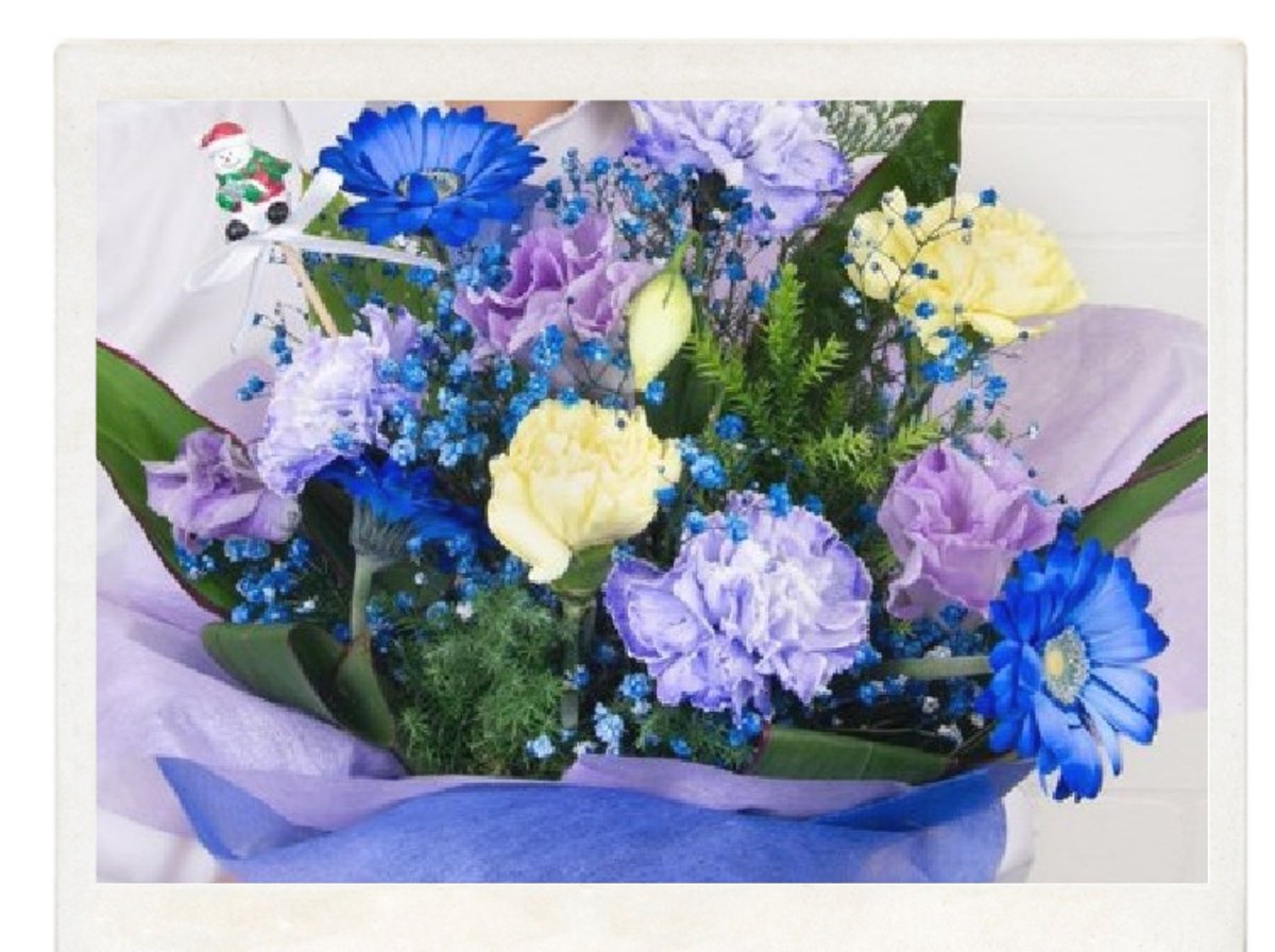 カサブランカ (@aruchan_0119) / Posts / X