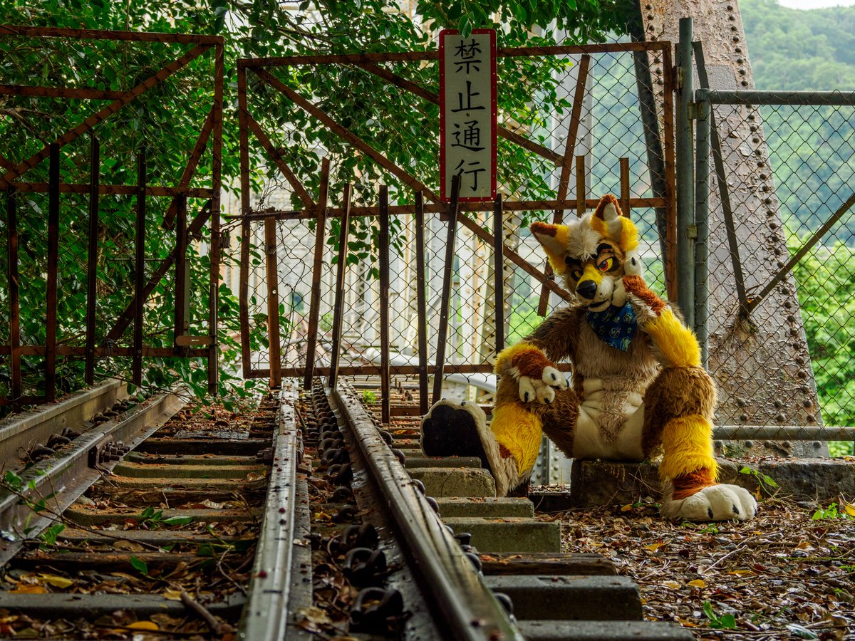 rwJunoFox's tweet photo. [Do not trespass] #FursuitFriday 

👔@MadeFurYou
📷@HappyMiDog https://t.co/Kjh1YK2AiN