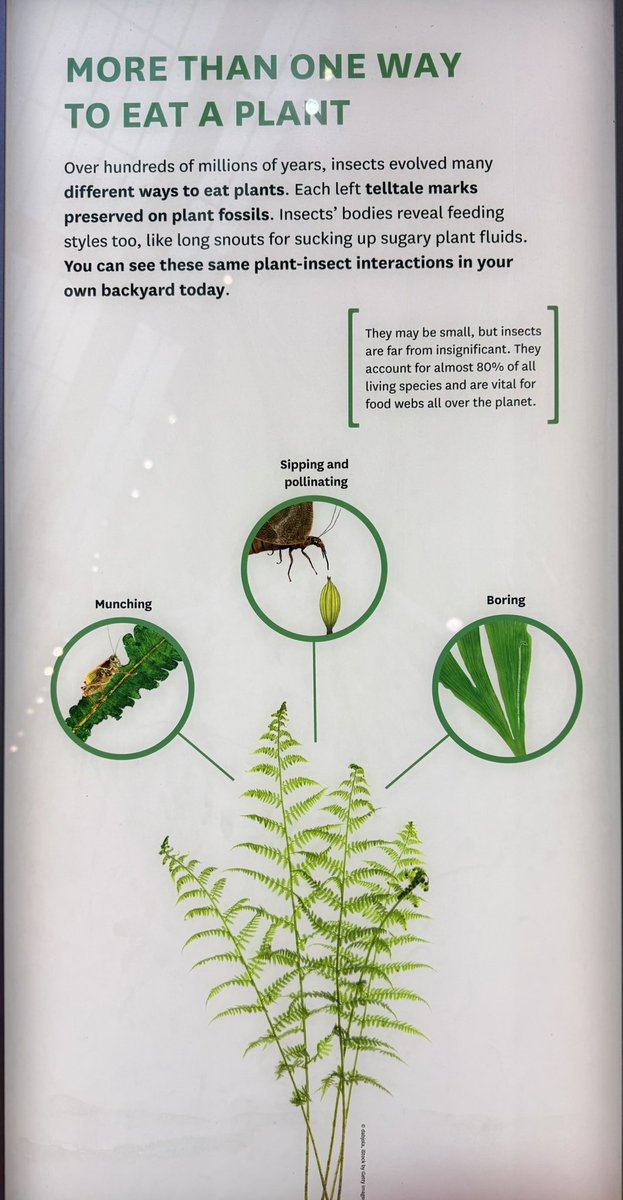 The best way to eat a plant is from a farm,  even though there may be more than one way.