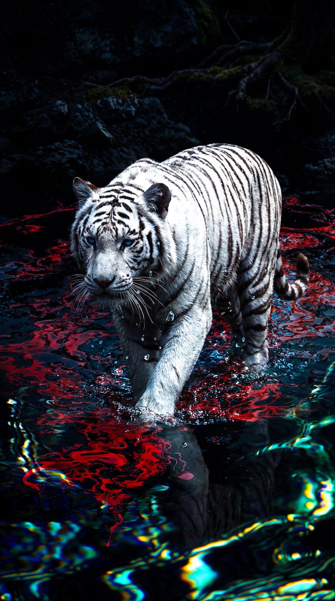 Fischermann (@aifischermann) on Twitter photo 