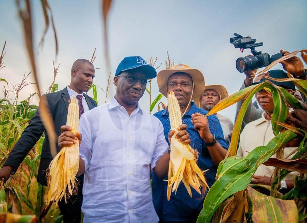 I think the video of yesterday has been the worst PR for any state Governor since our independence in 1960. 

The disgrace and shame has been unexampled and calls from all over keep coming and people are offering their condolences and I'm trying to convince them that the Governor