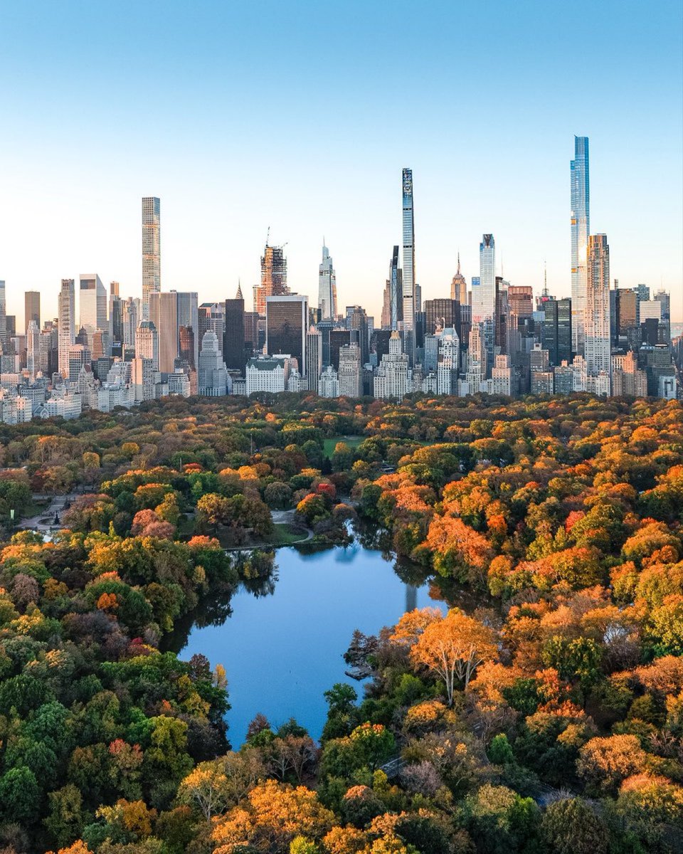 viewsoff_'s tweet image. Central Park, New York