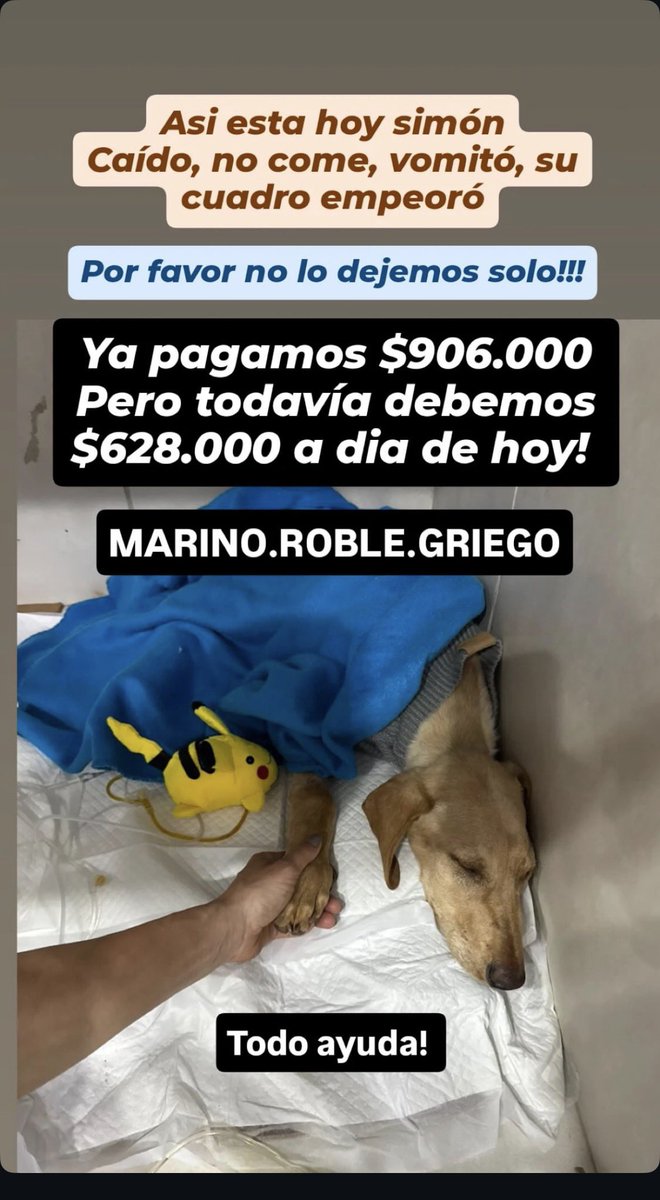 AGarbageKid tweet media