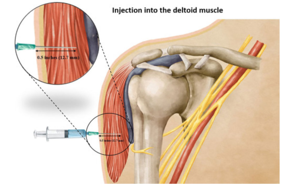 Nick Livadas tweet media
