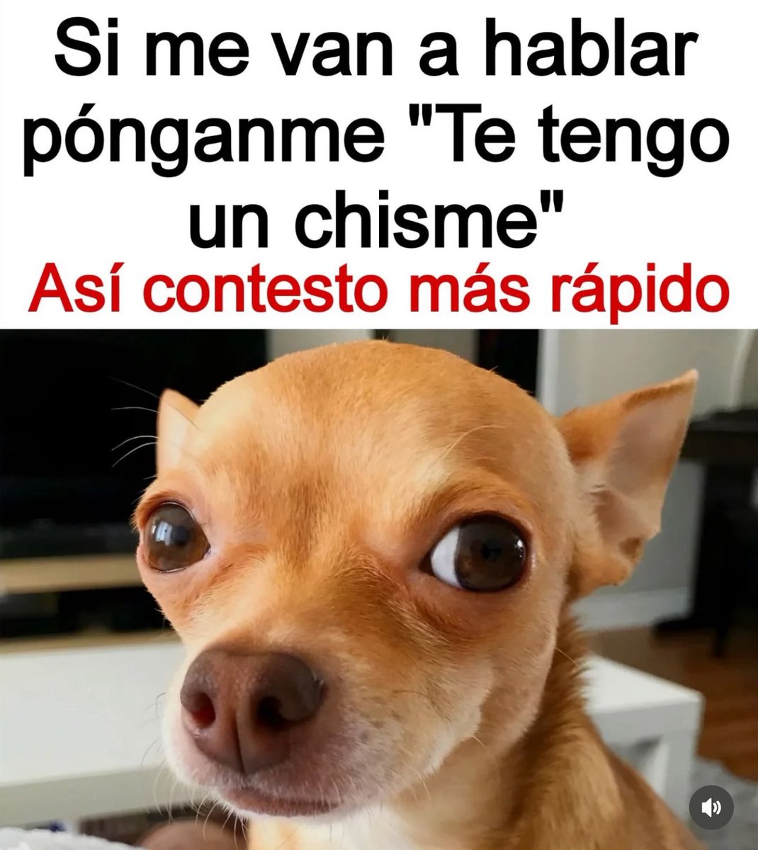 ¡Confirmado! 😅😅😅