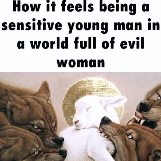 gob 🇮🇷 tweet media