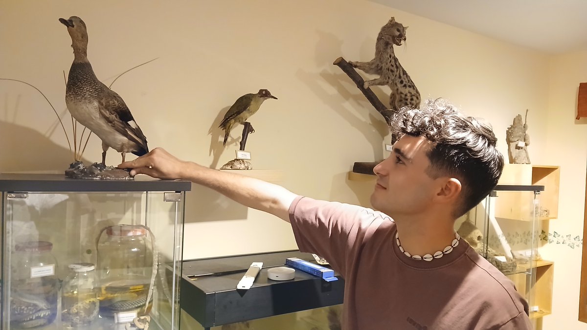 #Herrian 🎙️ La fauna de #Valdegovia en el rincón de  Mikel Mtez. de Lecea

guau.eus/m/herrian-la-f…