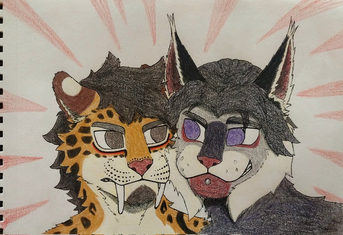 Tayskald's tweet image. Feline frienship