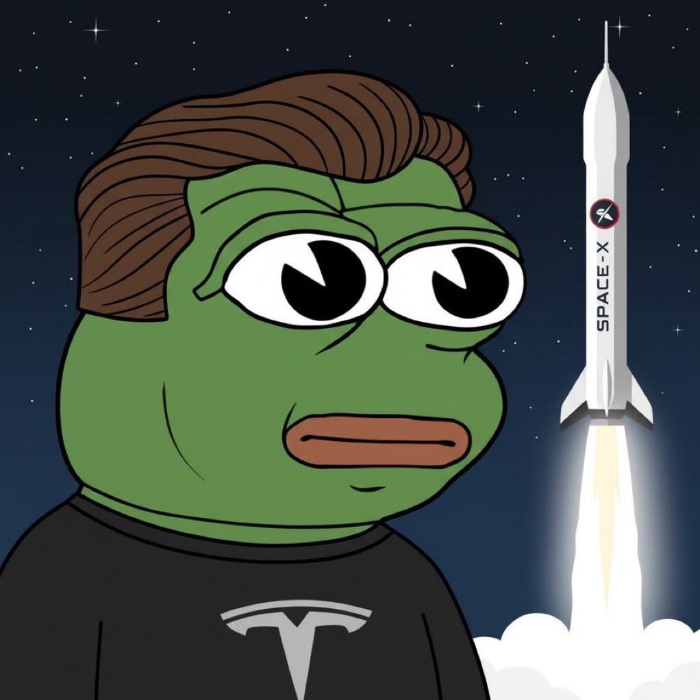 <a href="/elonmusk/">Elon Musk</a> Send it