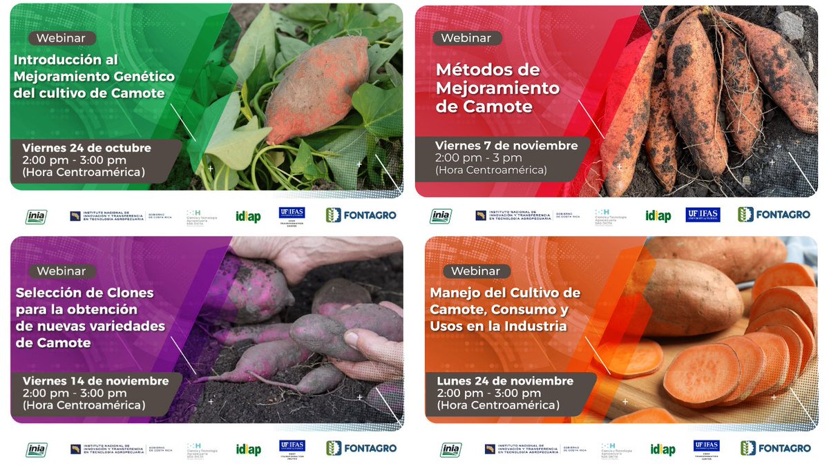 FontagroLAC's tweet image. ✨ En el marco del proyecto cofinanciado por @FontagroLAC: Red Regional de Mejoramiento Genético en #ALC, se realizó una serie de cuatro webinars centrados en impulsar la agricultura resiliente y nutritiva en la región. 📱💻