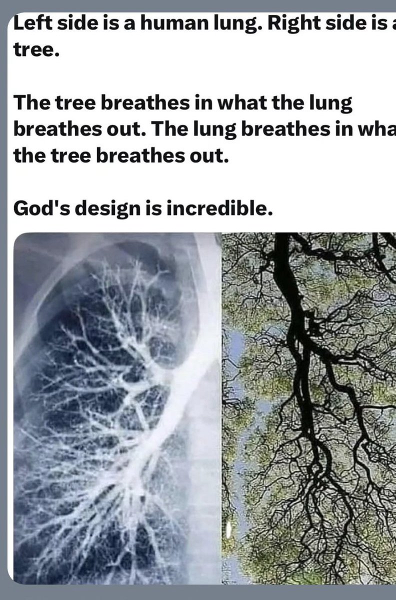 Lydia Jane Ormerod tweet media