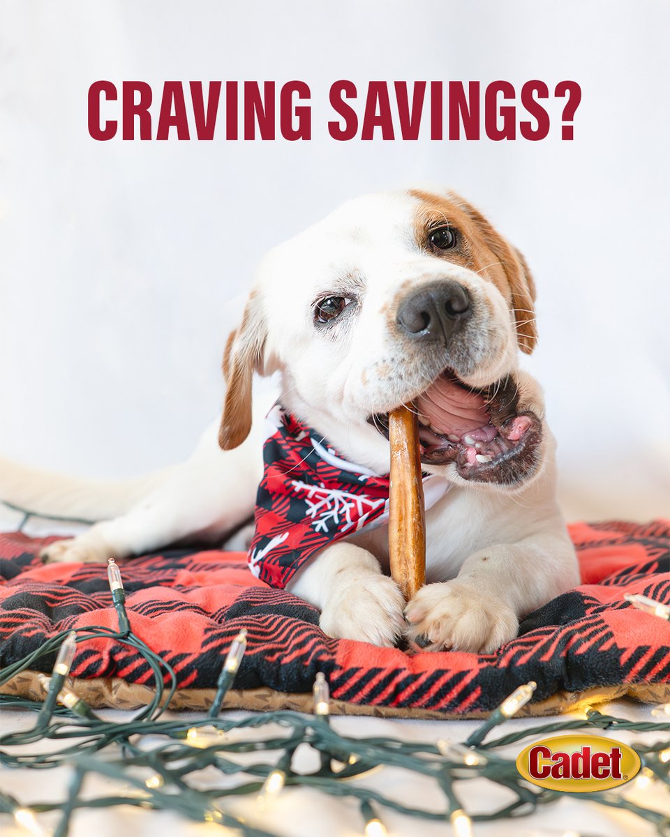 CadetPet's tweet image. Black Friday sales are here! Shop deals on Cadet chews and treats at your favorite retailers.

#CadetPet #blackfriday #dogtreats #dogchews