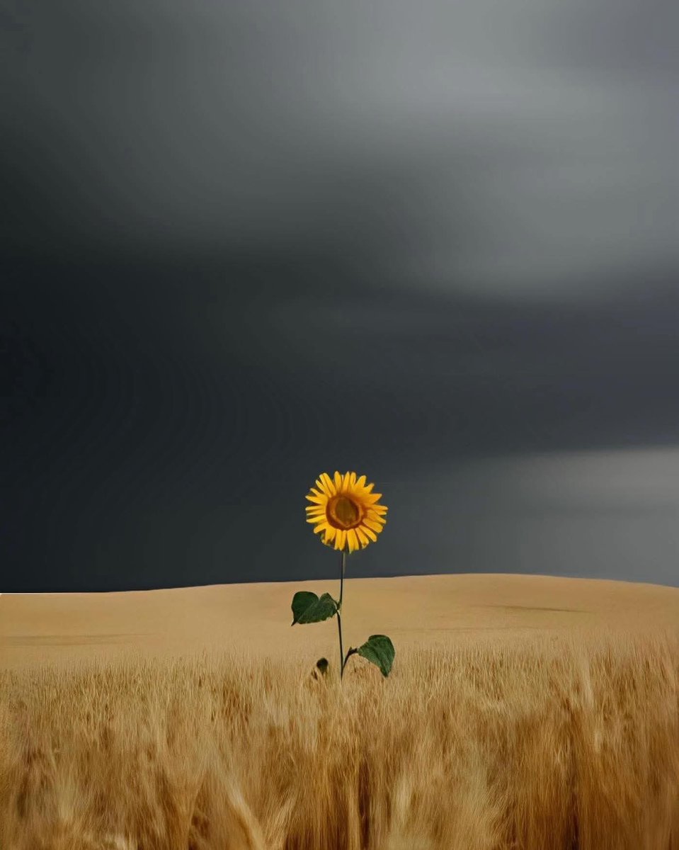 ﴿وَفِي السَّمَاء رِزْقُكُمْ وَمَا تُوعَدُونَ﴾

 اطمئن 🌿||