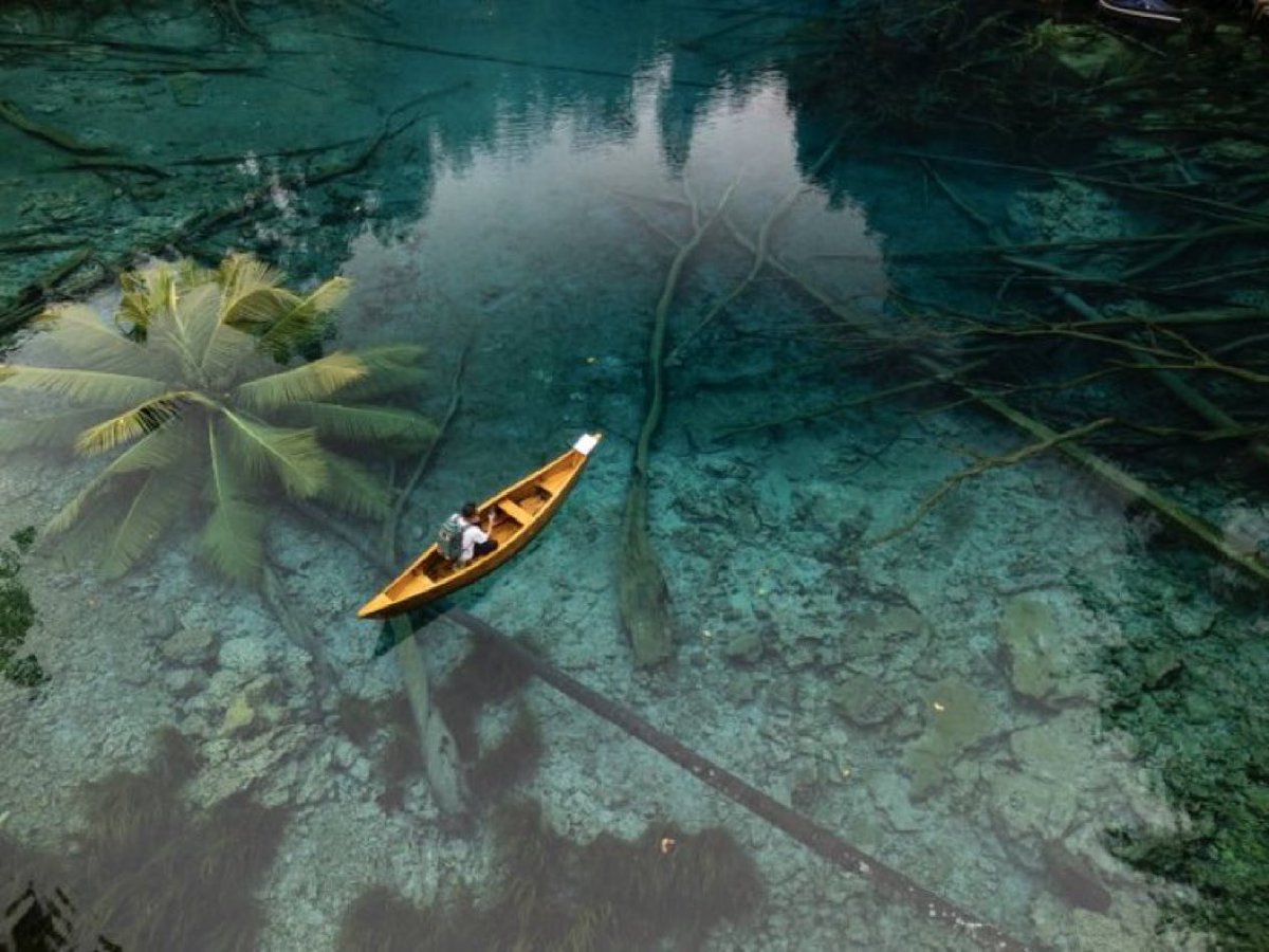 Tesla Owners Silicon Valley tweet media