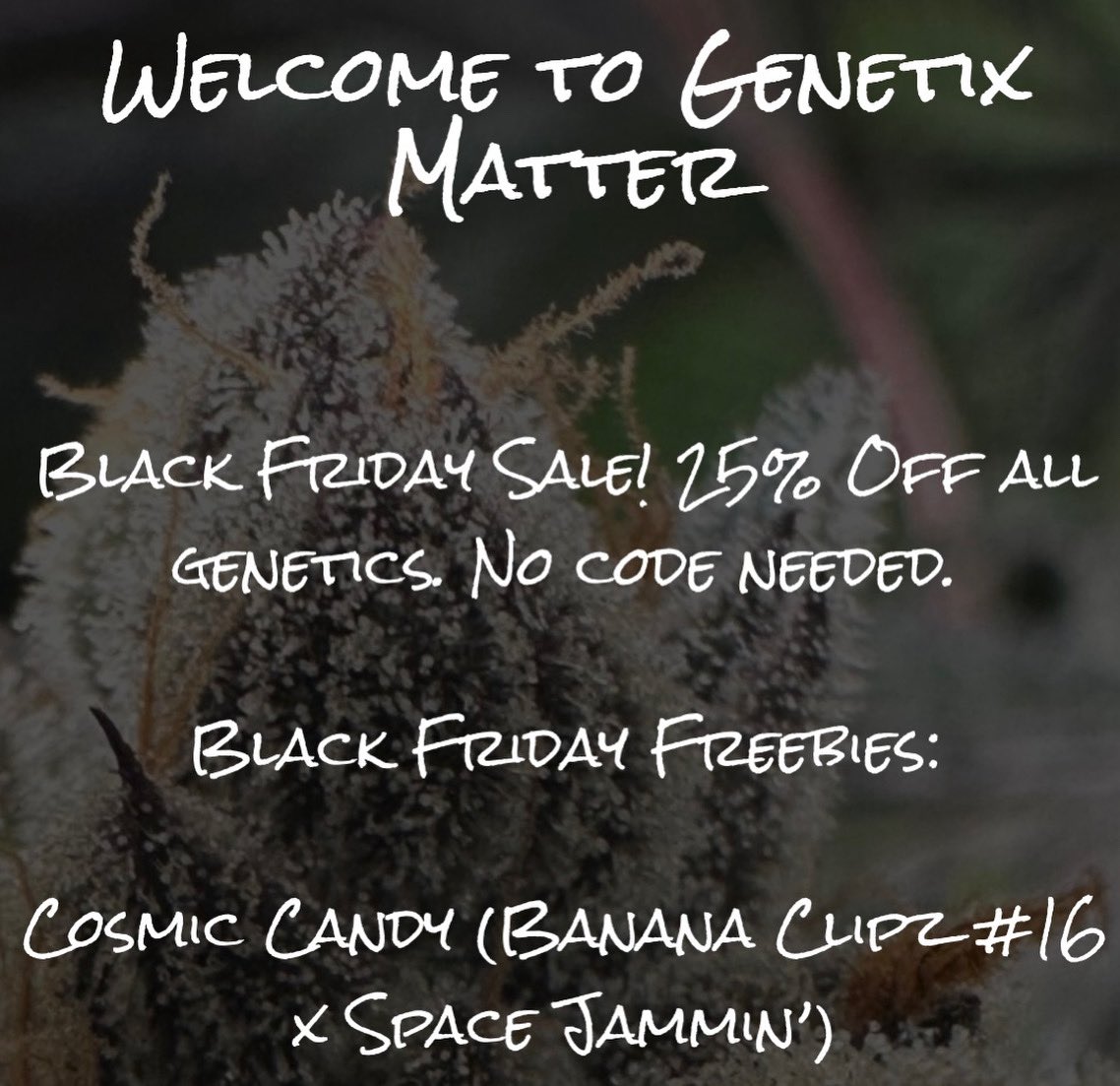 Genetix Matter tweet media
