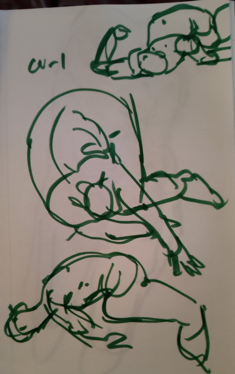 Interstitials's tweet image. Curl 2