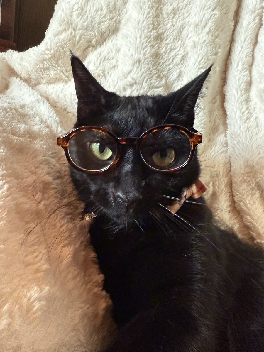 🤓 
He’s so over me and my bullshit