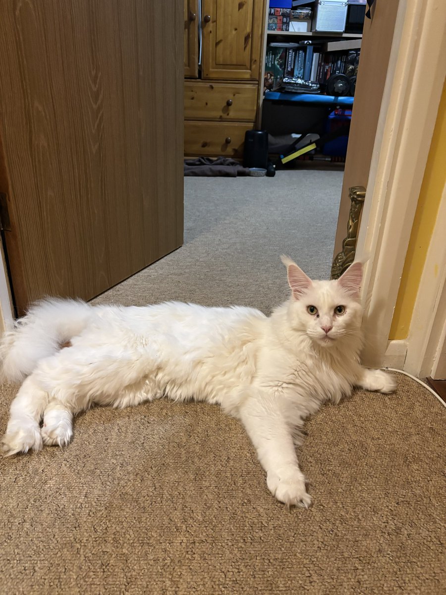 Your path is blocked. What do you do?