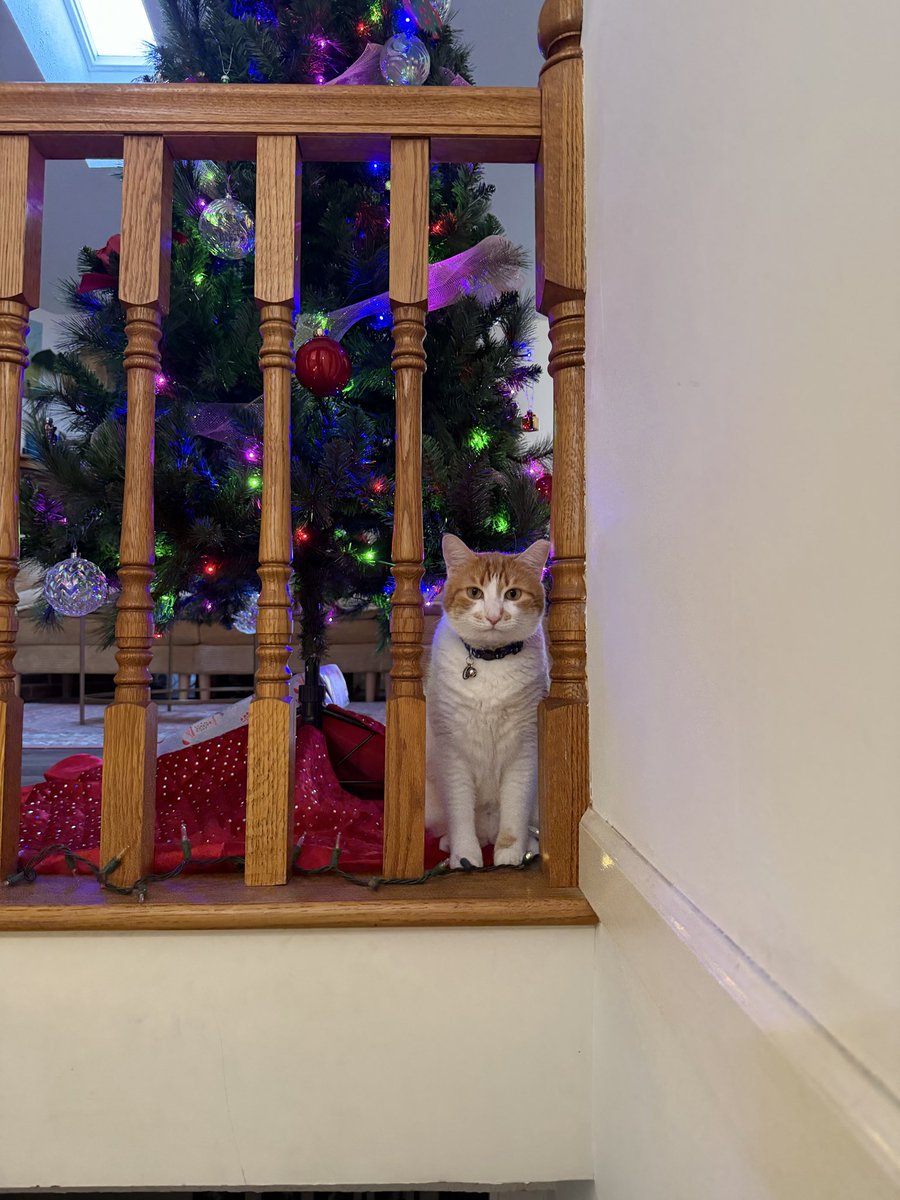 eva! (@evarrry) on Twitter photo 