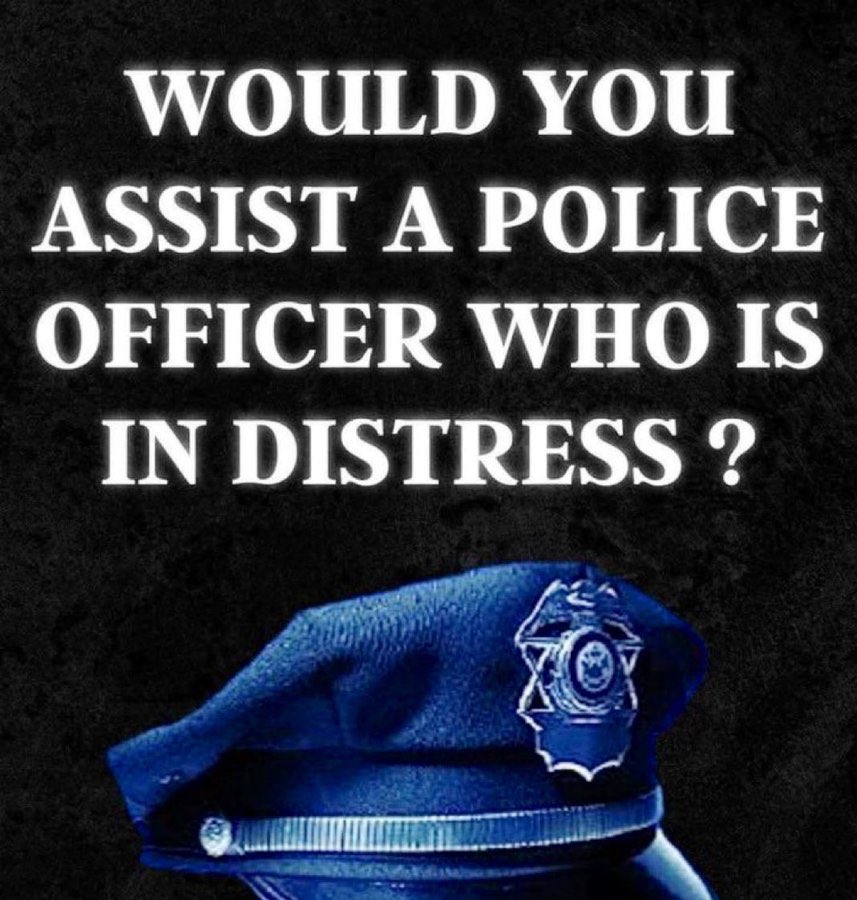 Mr. Star Spangled MAGA tweet media