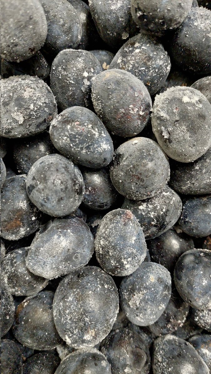 Damsonplums's tweet image. #gardenersworld
A bit too much sugar for my liking, and no real need to turn/shake every day! #damson #gin @TheMontyDon @GWmag