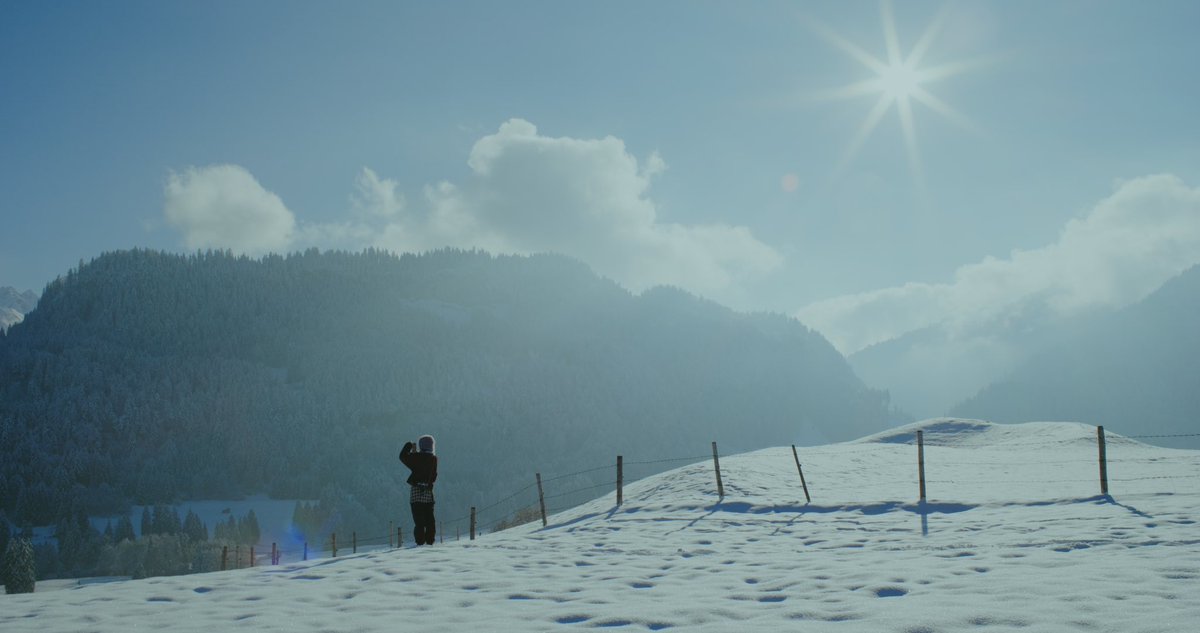 Kai Bauer tweet media