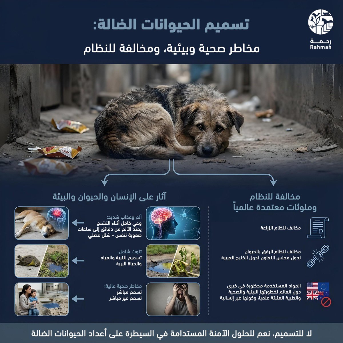 تؤكد جمعية رحمة أن #تسميم_الحيوانات_الضالة يعدّ ممارسة محظورة ومخالفة صريحة لنظام الرفق بالحيوان لدول مجلس التعاون لدول الخليج العربية ونظام الزراعة، لما يترتب عليه من معاناة شديدة للحيوان، و أضرار صحية وبيئية مباشرة وغير مباشرة على الإنسان.

وتدعو الجمعية الجميع إلى الالتزام