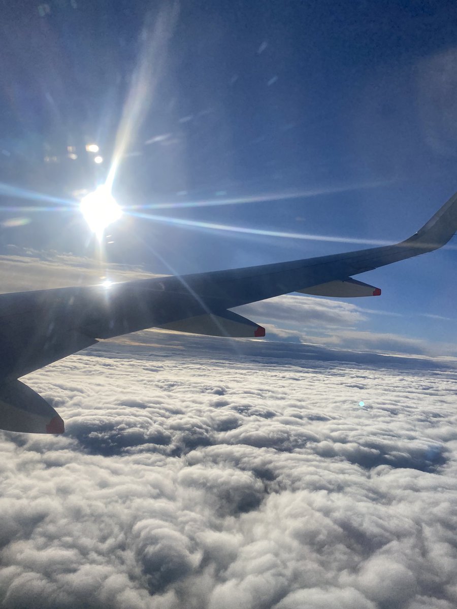 trischababe's tweet image. 